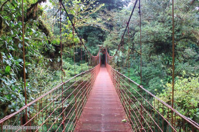 Pont suspendu traversant la forêt tropicale à Arenal au Costa Rica